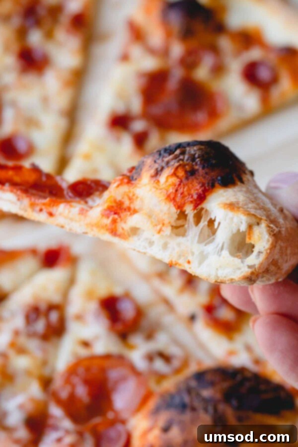 Effortless Homemade Pizza Dough 14 An up-close shot of the airy, bubbly edge of a baked pizza crust, highlighting its light texture.