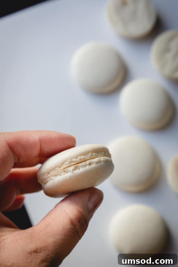 Two perfectly paired white macaron shells, matched by size and ready for filling, demonstrating uniformity.