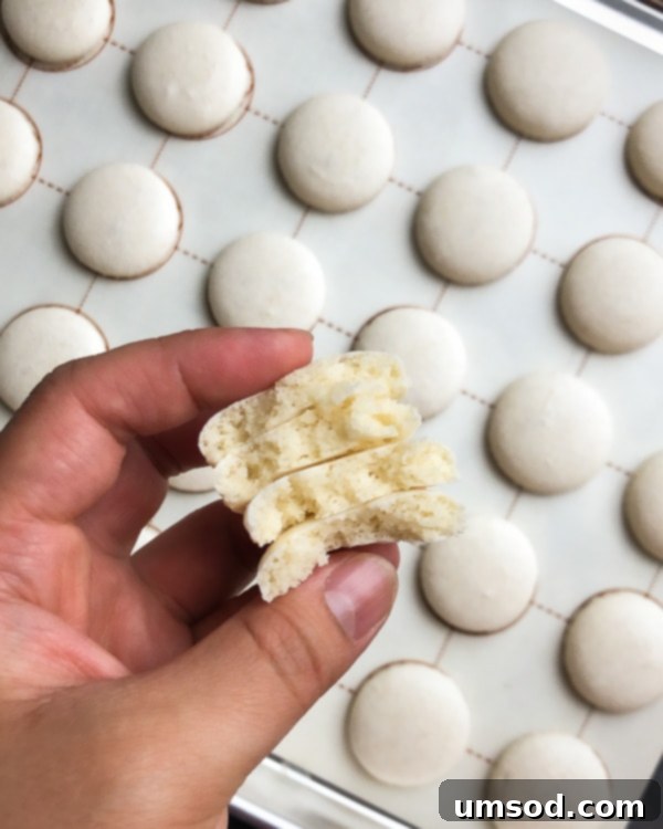 A close-up of a pure white macaron, cut in half to reveal its airy, chewy interior texture and the creamy white chocolate ganache filling. #macarons