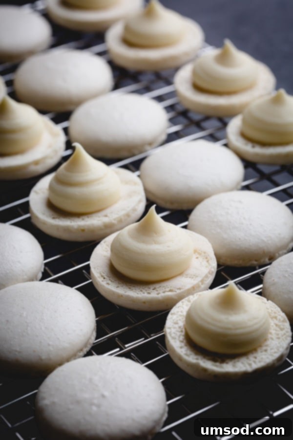 Macaron shells prepared with a dollop of creamy white chocolate ganache filling, ready to be sandwiched.