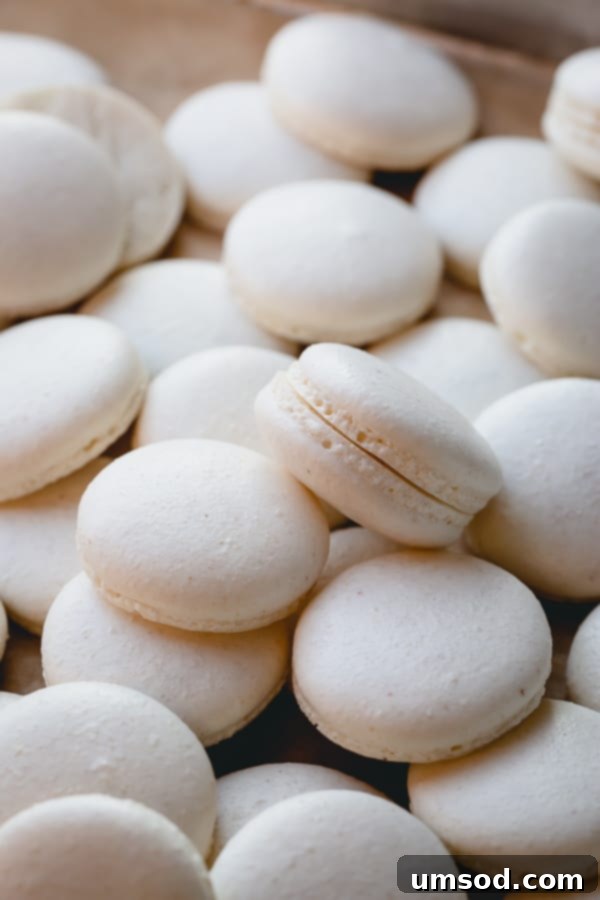 Several pure white macaron shells neatly arranged on a baking sheet, showcasing their smooth tops and delicate 'feet' after baking.