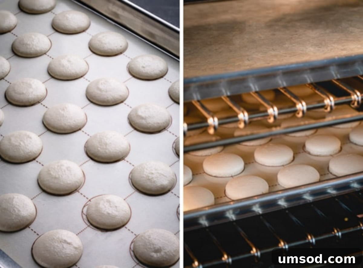Side-by-side images displaying unbaked macaron shells after piping and resting, next to perfectly baked macaron shells with developed feet.