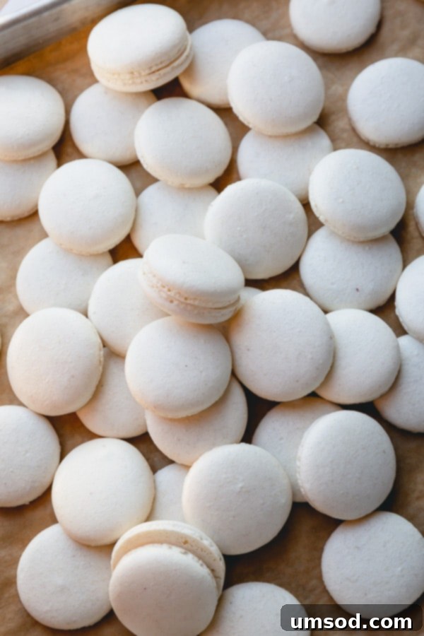Freshly baked pure white macaron shells neatly arranged on a baking sheet, showcasing their uniformity and characteristic 'feet'.