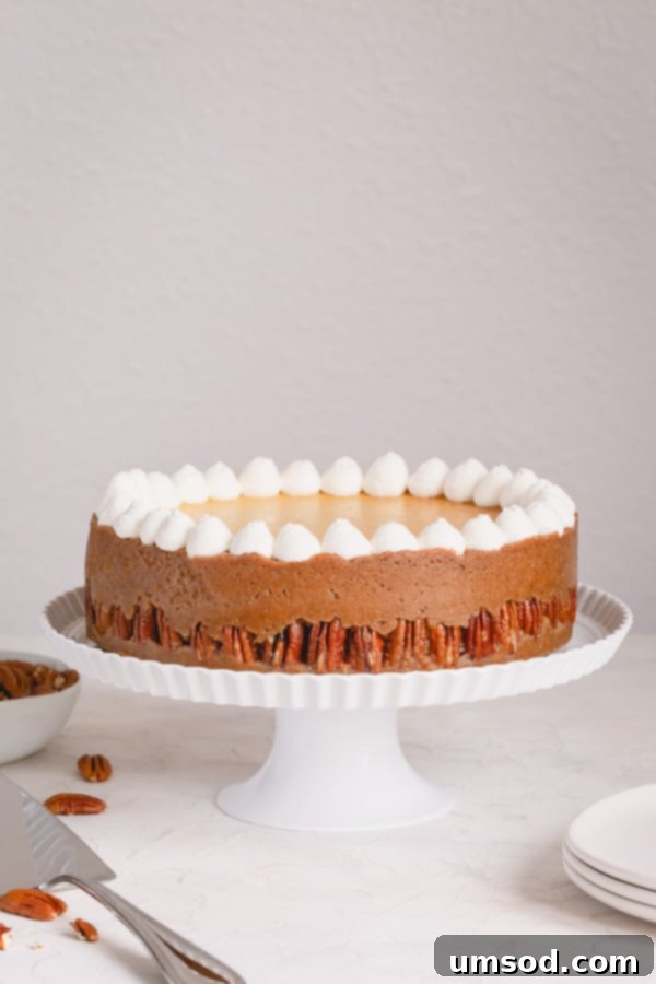 Indulgent Pecan Pie Cheesecake: A perfect fusion of New York cheesecake and classic pecan pie, ideal for holiday gatherings. Features a nutty crust, creamy filling, and rich pecan topping.