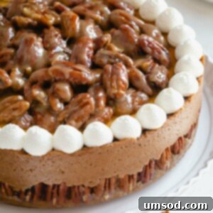 A beautifully presented Pecan Pie Cheesecake