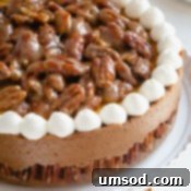 Pecan Pie Cheesecake slice with a garnish