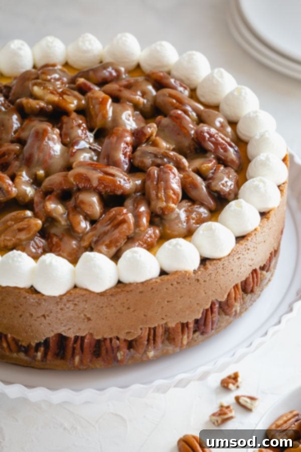 Slice of Pecan Pie Cheesecake showing the tall, creamy New York-style filling, thick graham cracker crust, and sweet pecan topping.