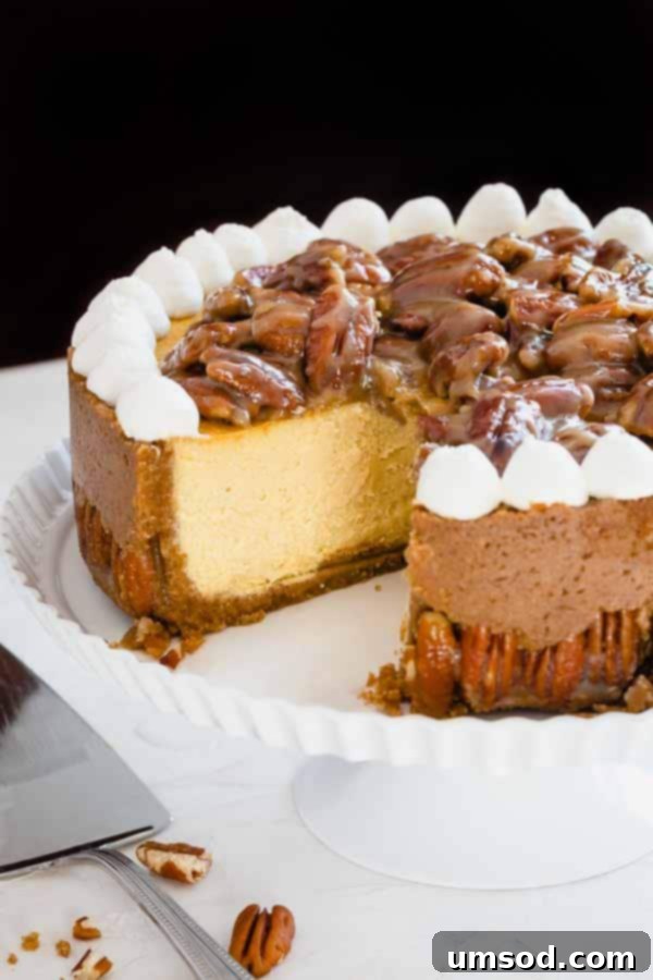 Close-up detail of a perfect slice of Pecan Pie Cheesecake, highlighting the layers of crust, smooth cheesecake, and rich pecan topping.