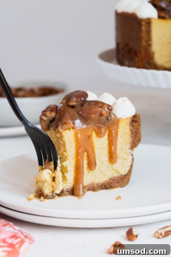 Final presentation of the Pecan Pie Cheesecake, ready to be served as a stunning holiday dessert.