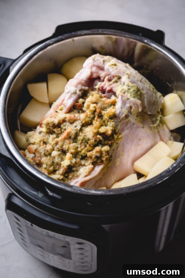 Peeled russet potato chunks and a raw turkey breast, cavity filled with dressing, arranged inside an Instant Pot for cooking. 