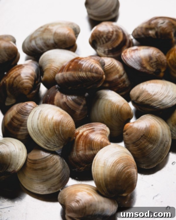 Prepping Little Neck Clams 2 Learn how to clean little neck clams and degrit clams for your next soup, salad, or pasta dish. Master clam preparation for grit-free seafood enjoyment. #littleneckclams #shortneckclams #tutorial #clams #seafood