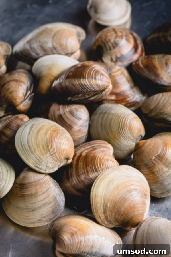 Prepping Little Neck Clams 4 Learn how to cook little neck clams after proper cleaning and degrit method. Use them in soup, salad, or pasta. #littleneckclams #shortneckclams #tutorial #clams #seafood