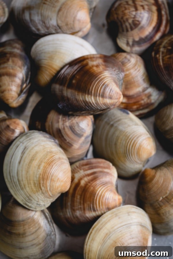 Prepping Little Neck Clams 5 Learn how to clean little neck clams and never have gritty clams again! A simple saltwater soak easily degrit clams for perfect soup, salad, or pasta dishes. #littleneckclams #shortneckclams #tutorial #clams #seafood