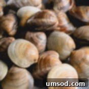 Prepping Little Neck Clams 7 A dish of perfectly cooked and cleaned little neck clams.