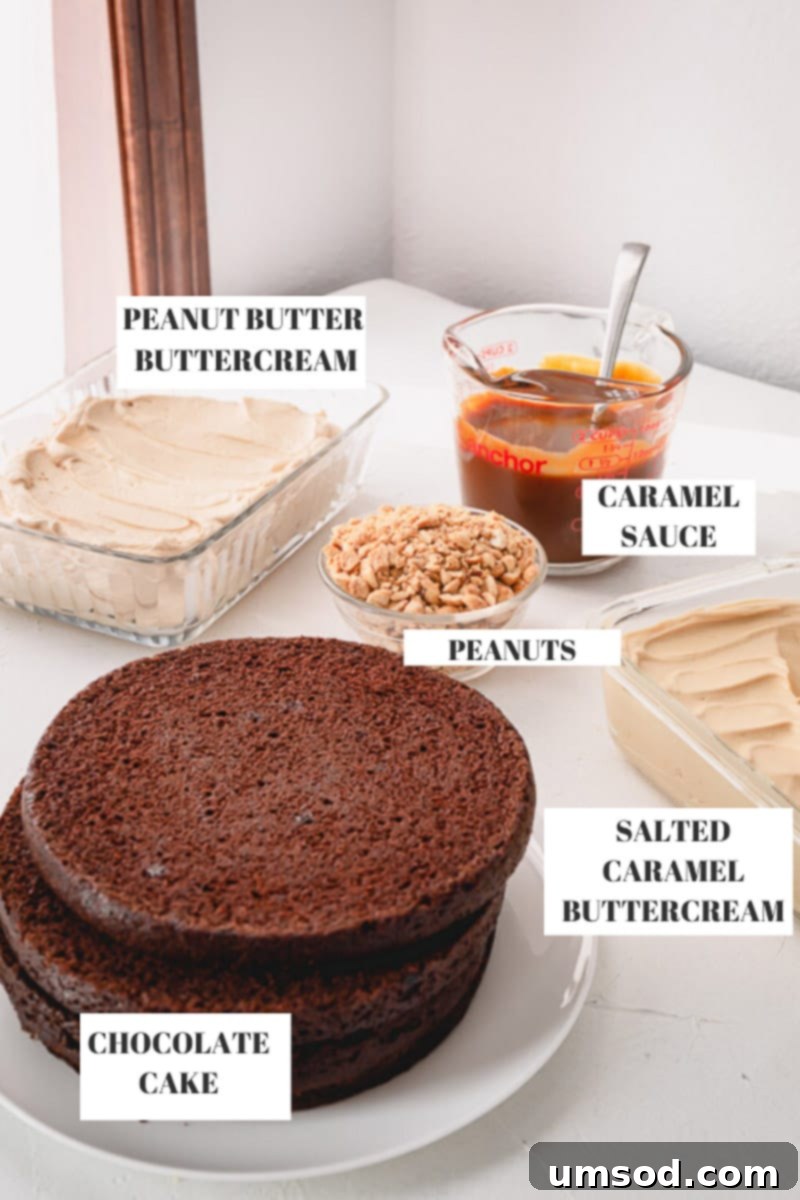 Chocolate Peanut Caramel Dream Cake 5 Five essential components laid out for the Snickers cake: rich chocolate cake layers, smooth salted caramel buttercream, creamy peanut butter buttercream, luscious salted caramel sauce, and crunchy peanuts.