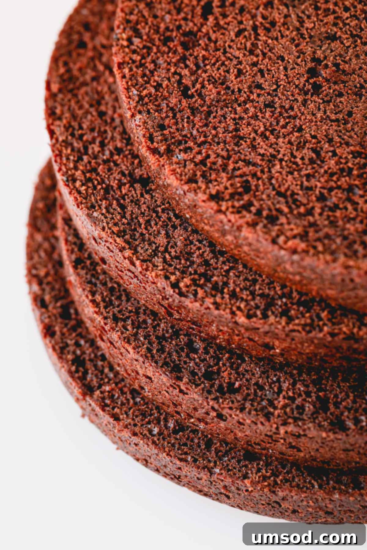 Chocolate Peanut Caramel Dream Cake 6 Stack of perfectly sliced chocolate cake layers, ready for assembly.