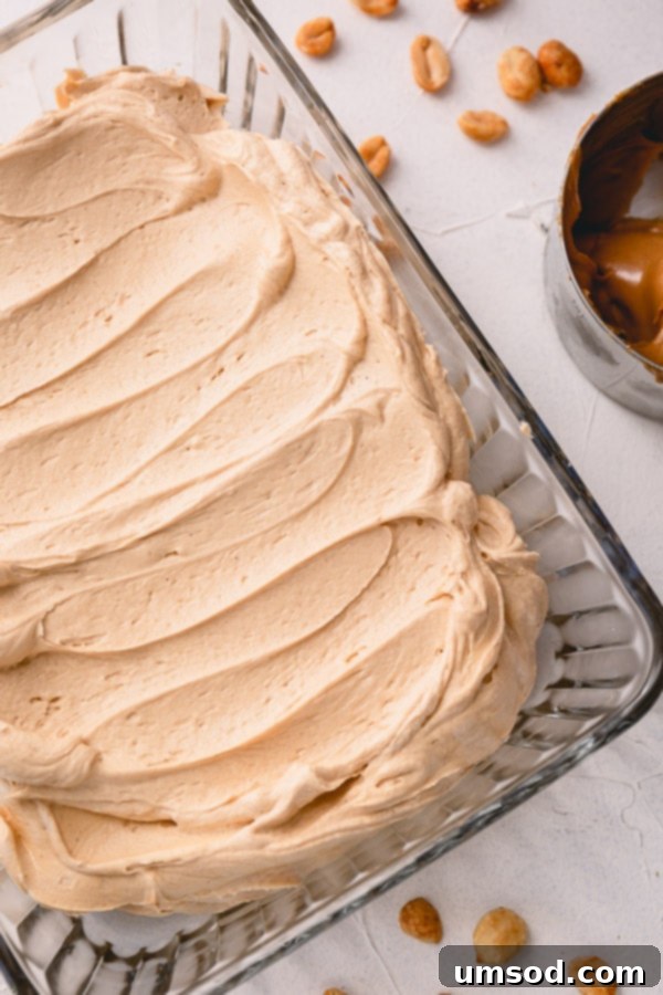 Peanut Butter Buttercream 6 Finished peanut butter buttercream frosting in a bowl, ready to be used. Delicious homemade frosting for all your baking needs. #sweettooth #bakinglove #dessertinspiration