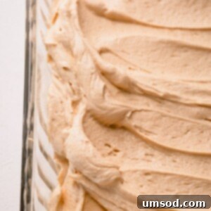Peanut Butter Buttercream 7 Seriously addicting peanut butter buttercream frosting - insanely delicious paired with chocolate cake, or cupcake, or brownies!! Learn the secret to light and fluffy peanut frosting you'll ever taste. #peanutbutter #peanutbutterfrosting #peanutbutterbuttercream #frostingrecipe