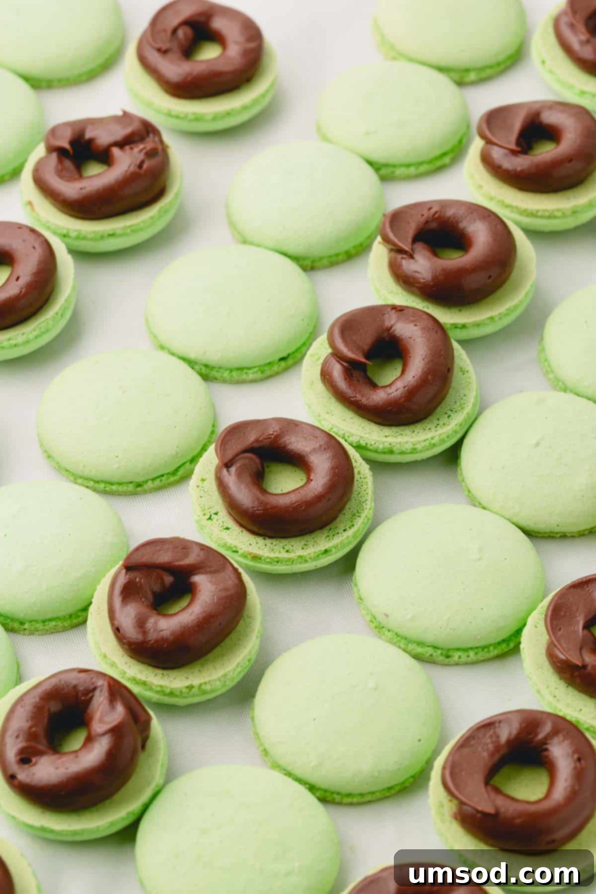 Green macaron shells with a ring of chocolate ganache piped on the bottom side of macarons.