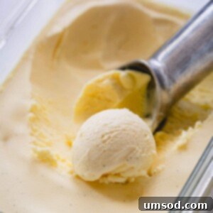 A tub of creamy vanilla bean ice cream with an ice cream scoop poised to serve, highlighting its rich texture and vanilla specks.