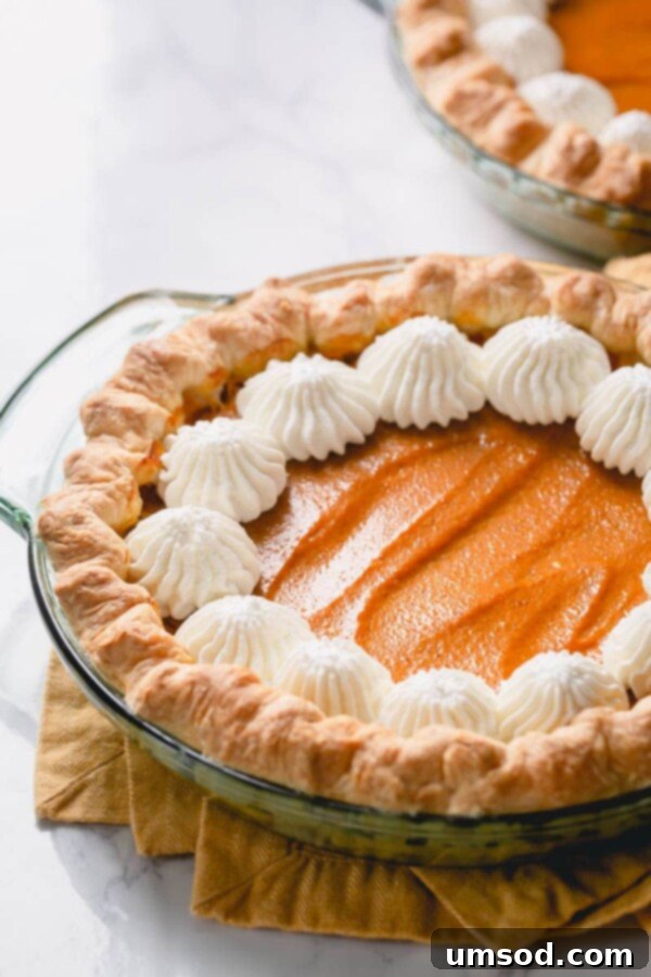 Foolproof Pumpkin Pie 3 Close-up of a single slice of homemade pumpkin pie with a golden, flaky crust.