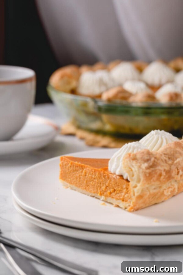 Foolproof Pumpkin Pie 8 Close-up of a pumpkin pie slice with a decorative swirl of whipped cream.