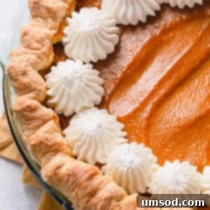 Foolproof Pumpkin Pie 9 Easy Pumpkin Pie