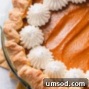 Foolproof Pumpkin Pie 10 Two freshly baked pumpkin pies with whipped cream and spices.