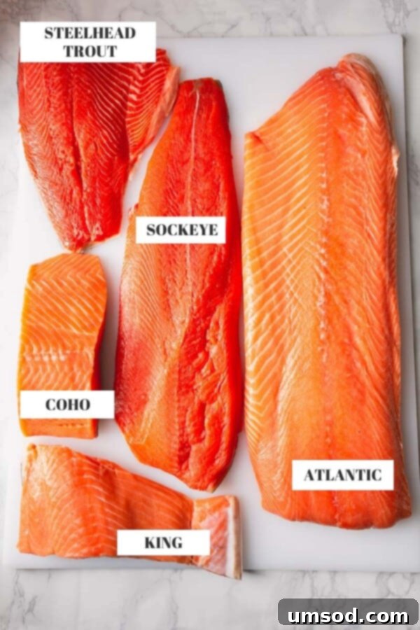 A vibrant display of five salmon fillets: Atlantic, Coho, Sockeye, King, and Steelhead Trout, highlighting their color and texture differences.