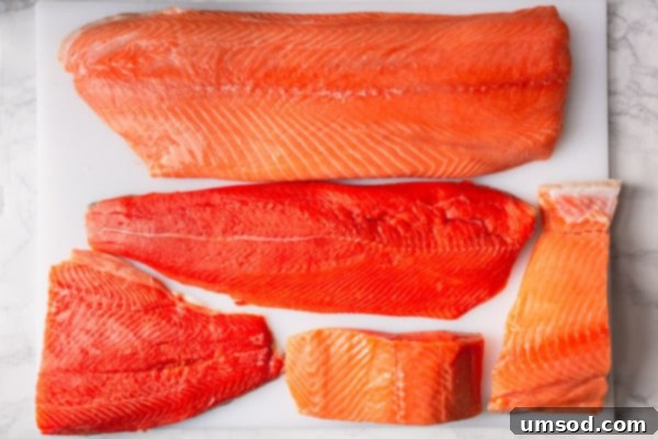 Close-up of three different salmon fillets displaying varied colors and marbling.