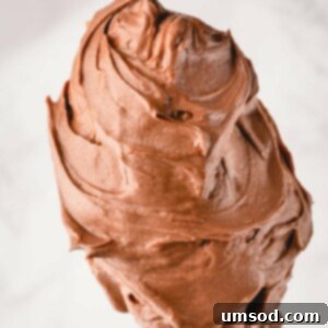 Finished Chocolate Swiss Meringue Buttercream in a bowl