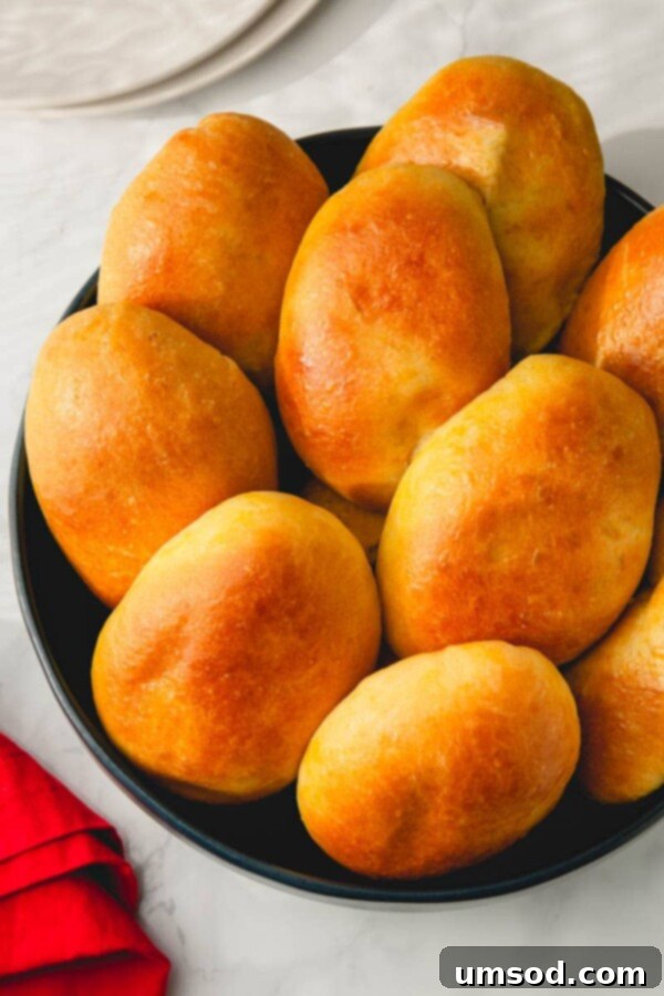 Traditional Russian Baked Meat Pirozhki 2 Baked Pirozhki filled with mashed potatoes and ground beef, arranged on a baking sheet.