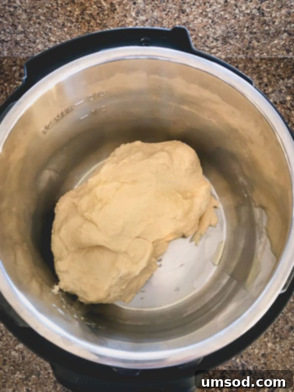 Traditional Russian Baked Meat Pirozhki 4 Yeast dough proofing inside an Instant Pot.