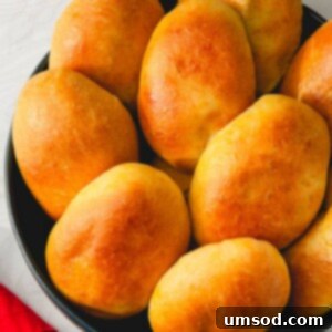Traditional Russian Baked Meat Pirozhki 8 Baked Pirozhki