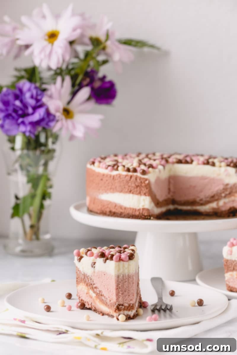Stunning No-Bake Neapolitan Cheesecake with distinct layers of chocolate, strawberry, and white chocolate filling.
