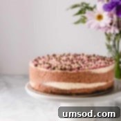 A smaller decorative image of the No-Bake Neapolitan Cheesecake.