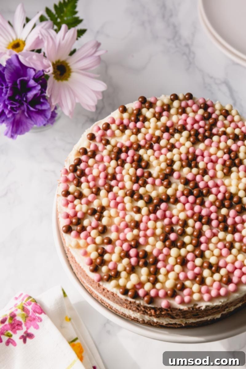 Close-up of a slice of No-Bake Neapolitan Cheesecake showcasing the three vibrant layers: dark chocolate, strawberry, and white chocolate.