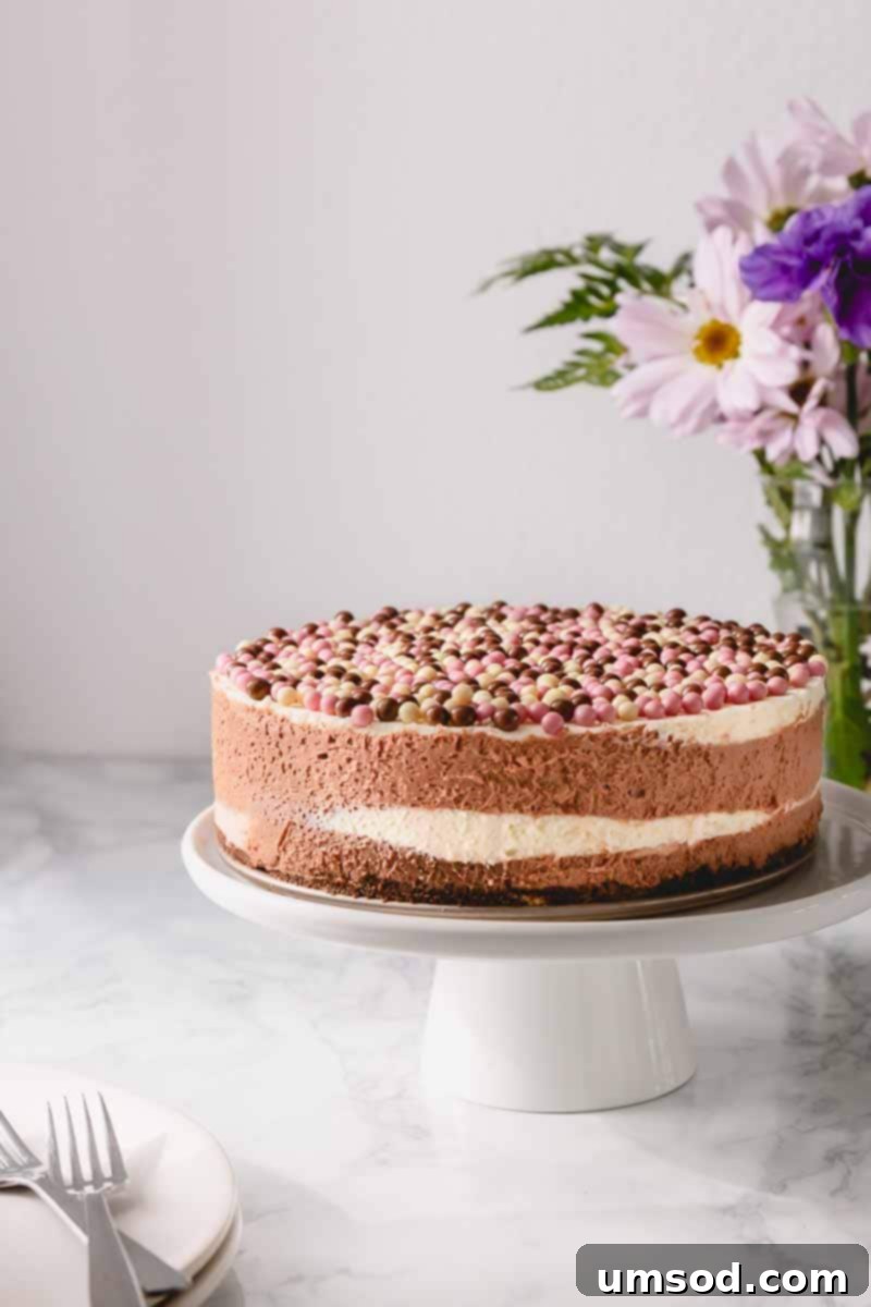 Assembled No-Bake Neapolitan Cheesecake showing the concentric layers before chilling and decoration.