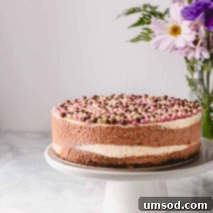 A stunning overhead shot of the No-Bake Neapolitan Cheesecake, sliced and ready to serve.