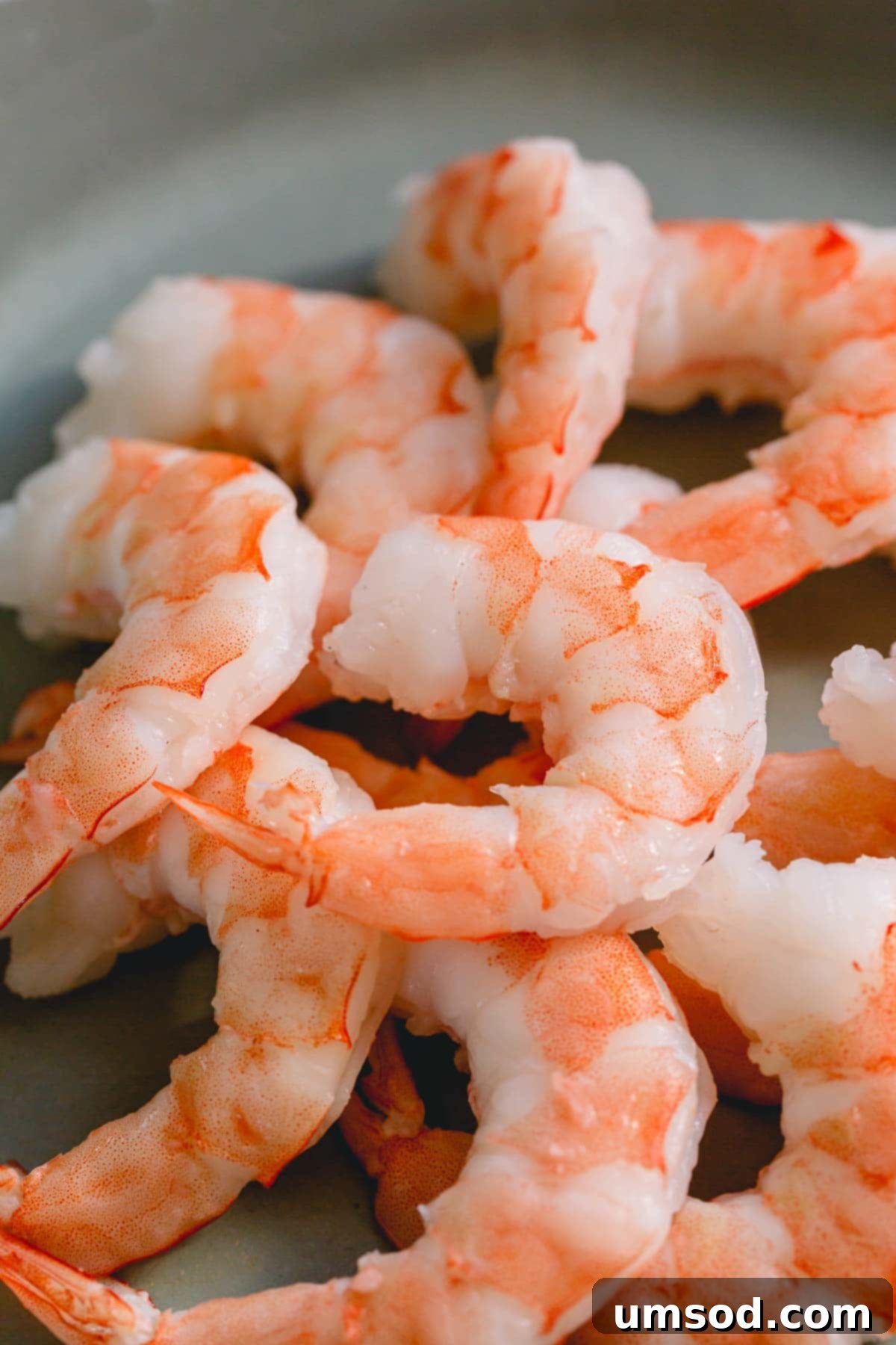 Close up of perfectly boiled shrimp, ready to be served or added to a recipe.