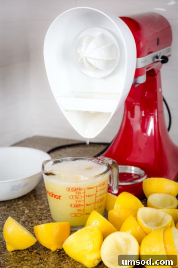 KitchenAid stand mixer with a citrus juicer attachment, alongside a glass of freshly squeezed lemon juice.