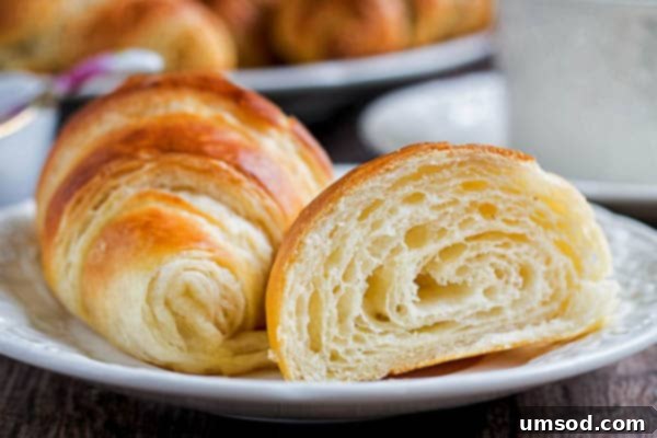 Flaky Homemade Croissants 4 Several golden homemade croissants beautifully arranged, inviting a delightful breakfast or snack experience.