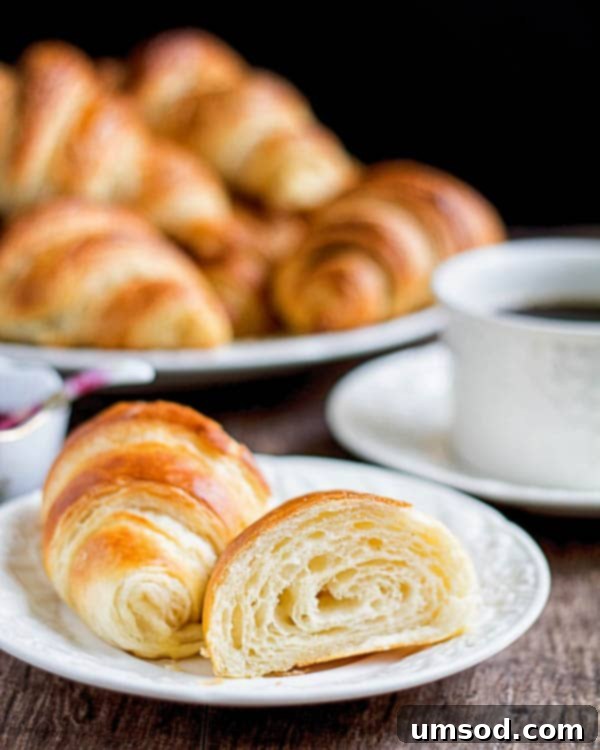 Flaky Homemade Croissants 5 A beautifully layered homemade croissant, cut to reveal its exquisite airy interior, demonstrating expert lamination.