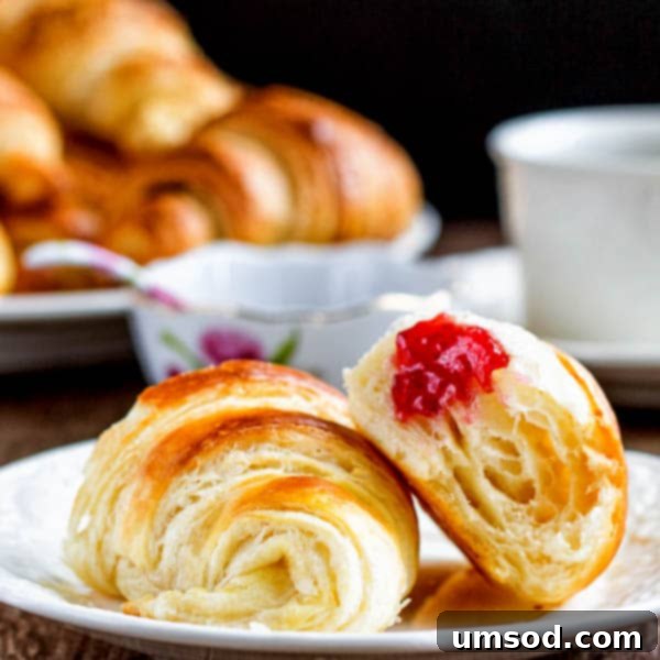 Flaky Homemade Croissants 6 A collection of crescent-shaped raw croissants arranged on a baking sheet, ready for the proofing stage and subsequent baking.