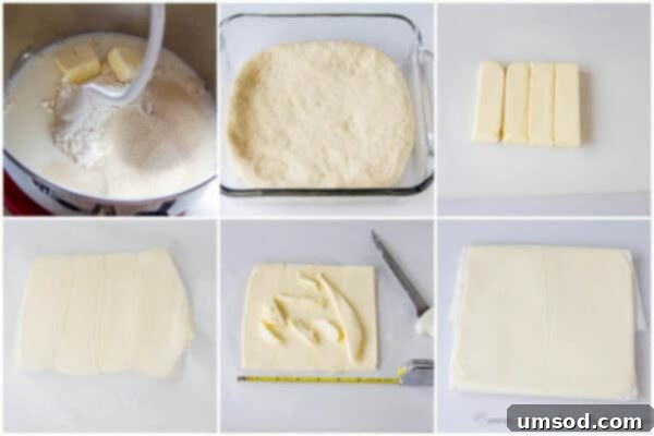 Flaky Homemade Croissants 7 Step-by-step photos for Day 1 of homemade croissant making, showing the preparation of the dough disk and the precisely shaped butter block.