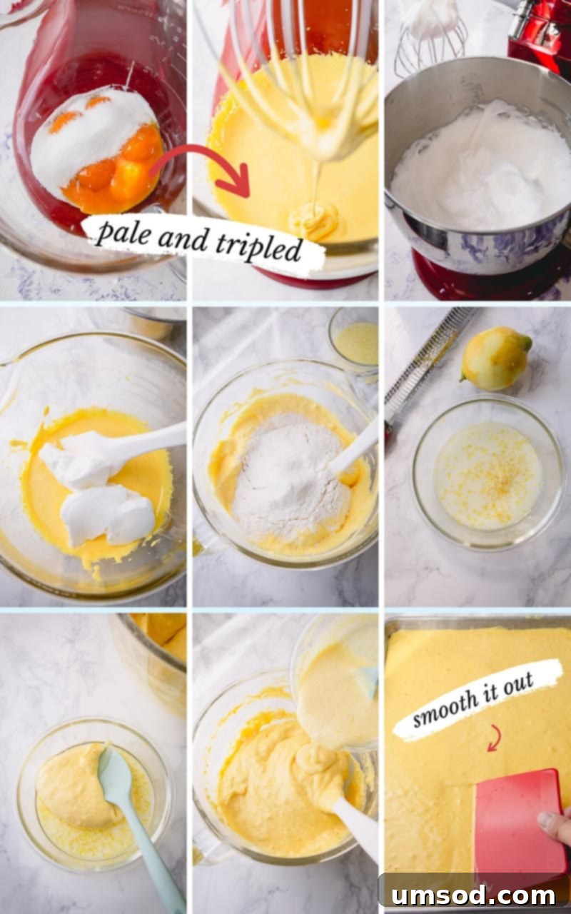 Step-by-step photographic guide demonstrating the process of making a light and airy sponge cake batter, which forms the perfect foundation for a crack-free roll cake or Swiss roll.