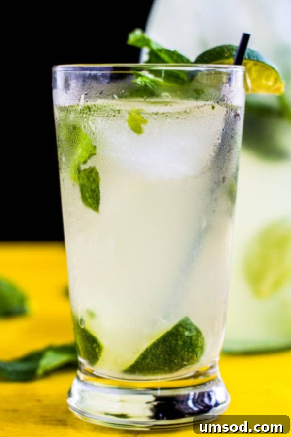 Try this refreshing coconut mojito this summer. This classic mojito with subtle coconut flavor is here for you to sip on all summer long. 