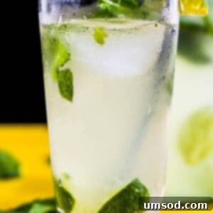 Delicious Coconut Mojito