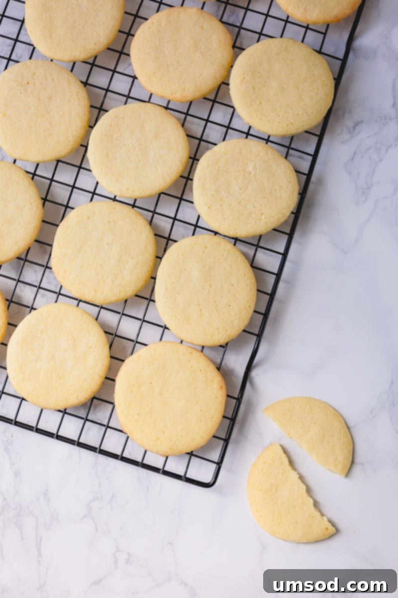 Freshly baked sugar cookies, the perfect soft base for delicious fruit pizzas. Ready for frosting and fruit!