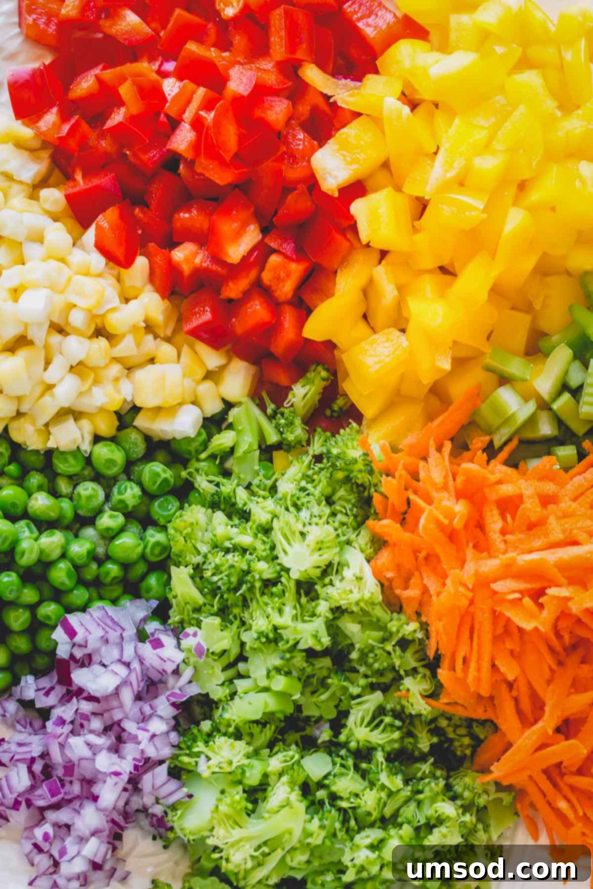 Assortment of freshly chopped vegetables, including bell peppers, celery, carrots, and basil, arranged on a platter.